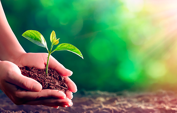 钱柜qg777(中国游)唯一官方网站