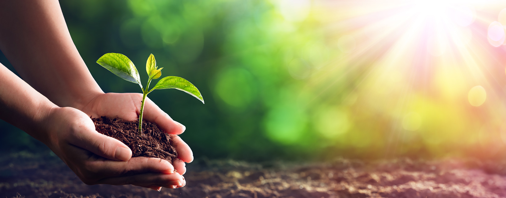 钱柜qg777(中国游)唯一官方网站